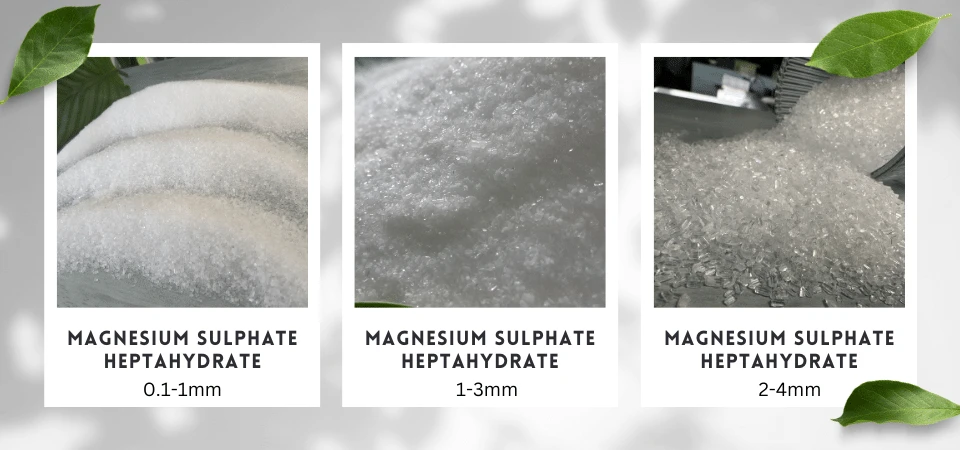 product-960-450 product-960-450