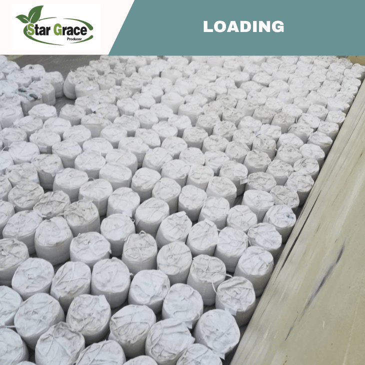 Calcium Salt Used in The Pharmaceutical