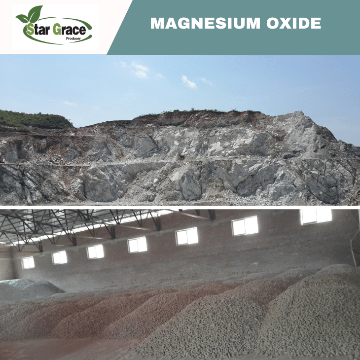 Magnesium Oxide Caustic Calcined Magnesia Powder To Europe Market