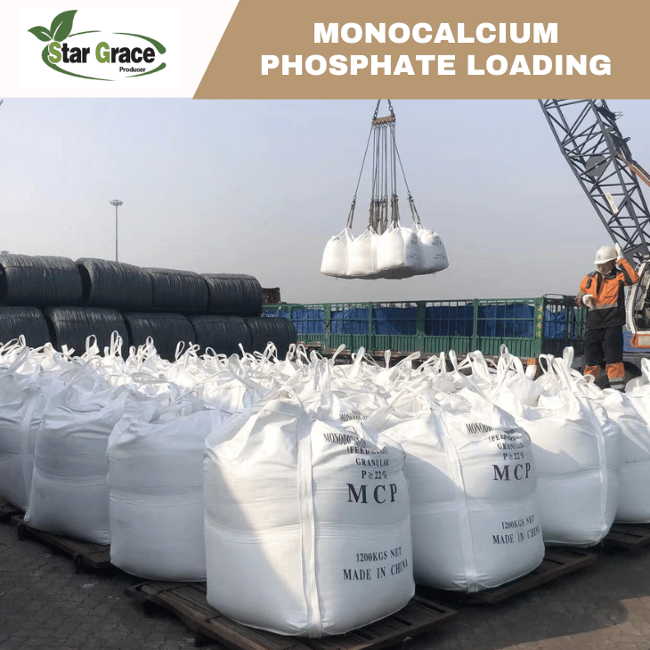 Monocalcium Phosphate(MCP) Improves The Texture of Baked Goods