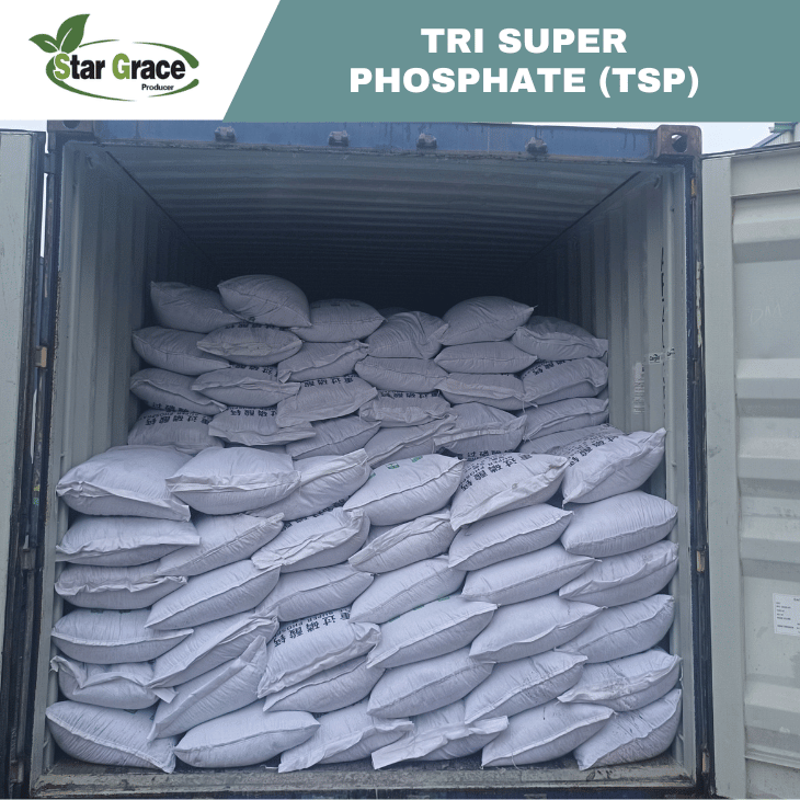 Triple Super Phosphate TSP